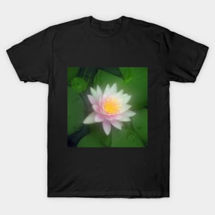 Water Lily T-Shirt
